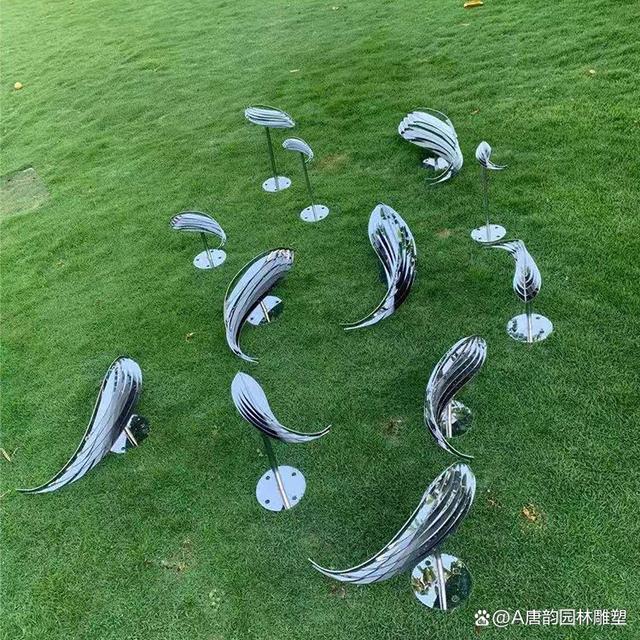 开云官方网站-&quot;水中雕塑比赛：科技点缀的艺术运动&quot;的简单介绍