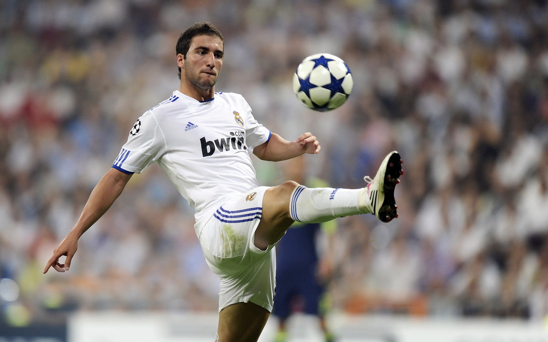 开云入口-体育新闻中心发布全球体育界重大事件回顾专辑，世界十大体育事件